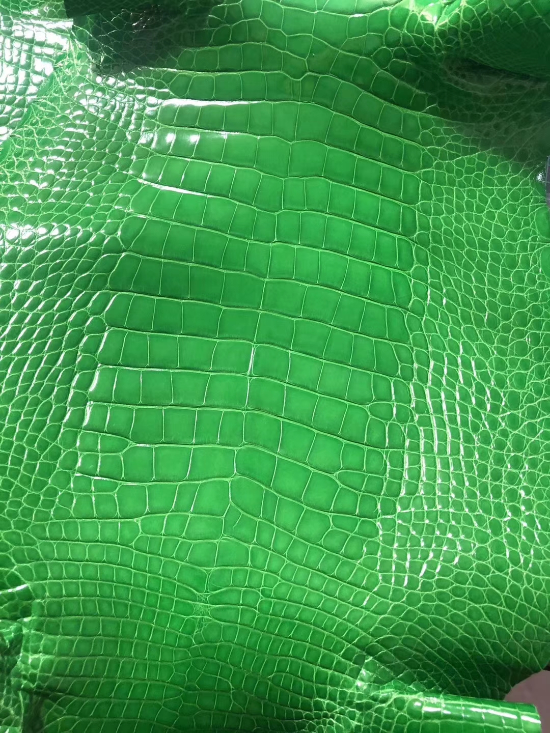 Hermes Bags Order 1T Vert Tipien Shiny Crocodile Leather Can Order Birkin/Kelly Bag